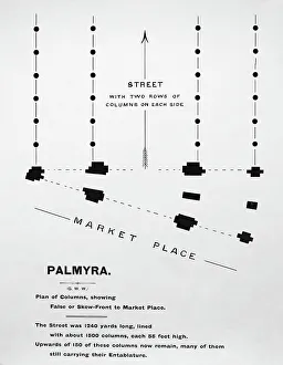 Palmyra Temple site, Syria, Victorian period