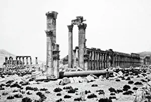 Palmyra Temple site, Syria, Victorian period
