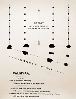 Palmyra Temple site, Syria, Victorian period