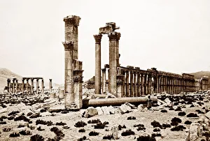 Palmyra Temple site, Syria, Victorian period
