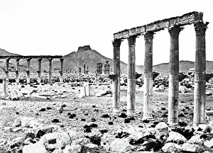 Palmyra Temple site, Syria, Victorian period