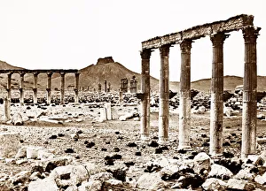 Palmyra Temple site, Syria, Victorian period