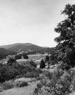 Palomar State Park
