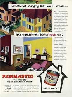 Adverts Gallery: Pammastic emulsion paint advertisement