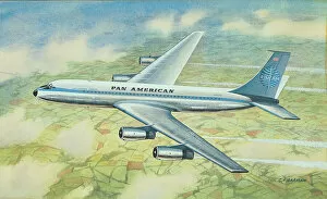 Amercian Gallery: Pan Amercian Airliner