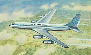 Amercian Gallery: Pan Amercian Airliner
