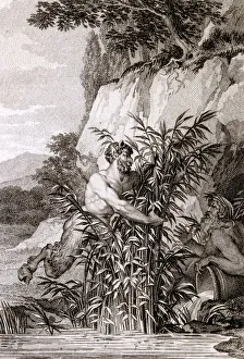 Images Dated 17th January 2019: PAN (MOREAU)
