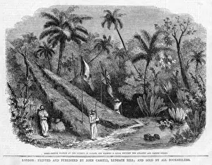Panama Feasibility Stud
