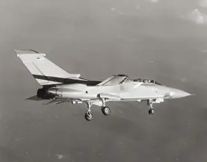 Jet Powered Prints: Panavia Tornado ADV F-2