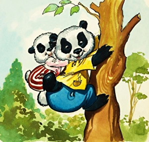 Images Dated 16th May 2007: Pandas climbing a tree