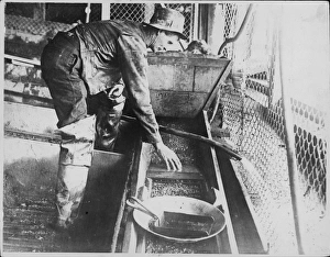 Alluvial Gallery: Panning Alluvial Gold