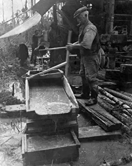 Panning Prints: Panning for Gold