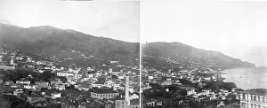 Panoramic: Landscape in Madeira 1873