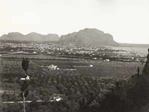 Natural Elevation Prints: Panoramic view of Palermo, Italy