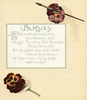 Pansies Gallery: Pansies, Viola tricolor, paintbrush and palette