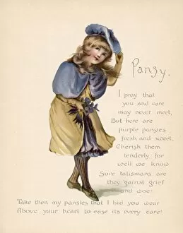 Personified Gallery: Pansy / Language of Flowers