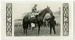 Jockeys Gallery: Pantheon, Australian race horse