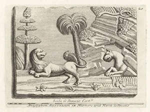 Ridolfino Venuti Prints: A panther emerging from a Libyan cave to attack a lion