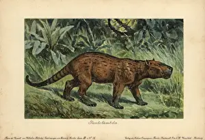 Pantolambda, an extinct genus of Paleocene pantodont mammal