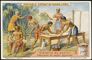 Papyrus Prints: Paper from Papyrus