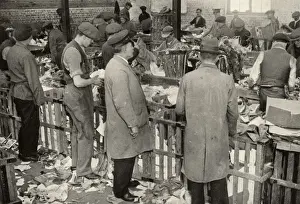 Paper sorting, Salvation Army Elevator