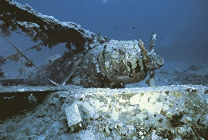 Archeological Collection: PAPUA NEW GUINEA. Rabaul. Japanese reconnaissance