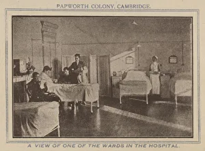 Tuberculosis Collection: Papworth Colony - Hospital Ward