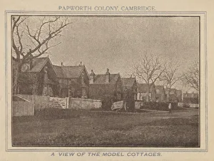 Tuberculosis Collection: Papworth Colony - Model Cottages