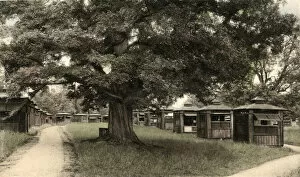 Tuberculosis Collection: Papworth Colony - Open Air Chalets