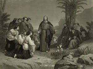 Lilies Gallery: Parable of the lilies