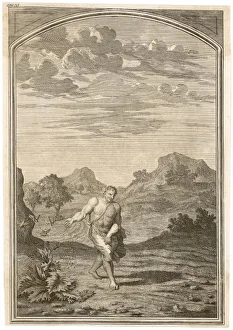 THE SOWER