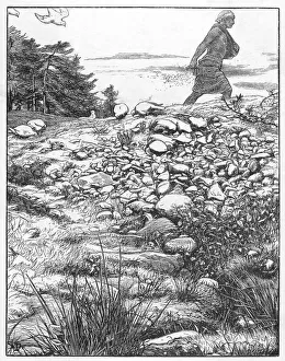 Mark Collection: Parable of the Sower
