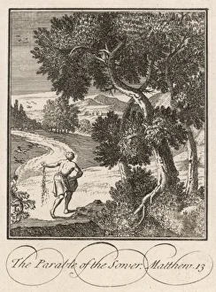 THE SOWER