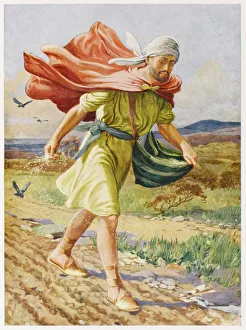 THE SOWER
