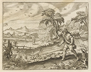 THE SOWER