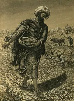 Metaphor Collection: The Parable of the Sower sowing Seeds