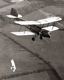 Pre War Prints: Parachuctisit jumps headfirst from biplane, Hayes, 1933