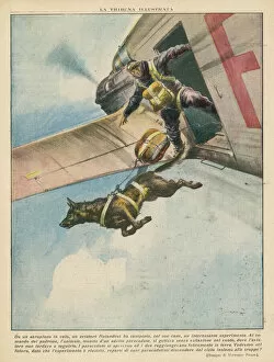 Jumps Gallery: Parachuting Dog