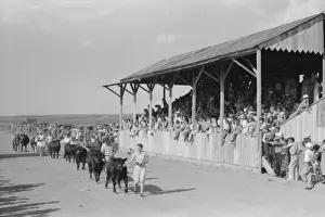 Parade of the champions by 4-H Club members at 4-H Club fair