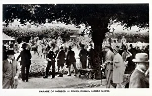 Parade of Horses in Rings, Dublin Horse Show, Ireland