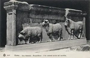 Sacrificial Prints: Parade of sacrificial animals