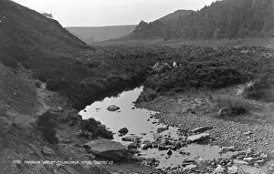 Paradise Valley, Pilkington, York