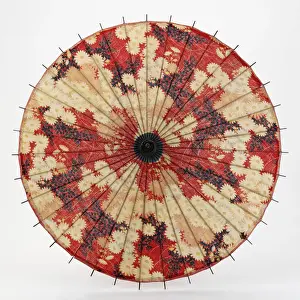 Daisies Prints: Parasol