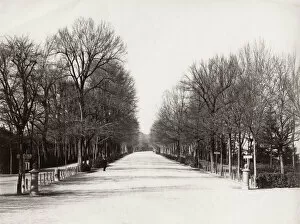 Cold Gallery: The Parco delle Cascine, Florence, Italy