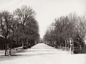 The Parco delle Cascine, Florence, Italy