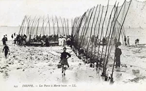 The Parcs at low tide - Dieppe, France - Trap for fish
