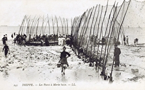 The Parcs at low tide - Dieppe, France - Trap for fish The Parcs at low tide - Dieppe, France - Trap for fish