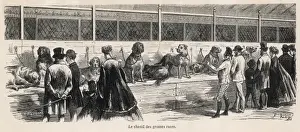 Paris Dog Show