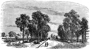 Boulevards Prints: Paris, France - A view on the old Exterior Boulevards