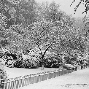 Park under heavy snow, London